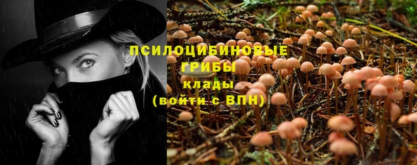каннабис Арсеньев