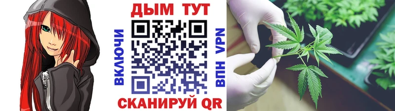 ОМГ ОМГ как войти Армянск Канабис конопля